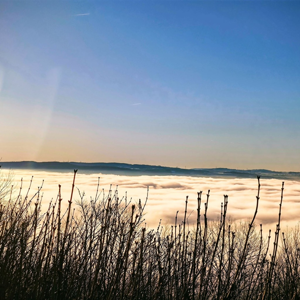 IMG_20250118_093038-EFFECTS